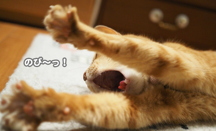 23日ブログ３