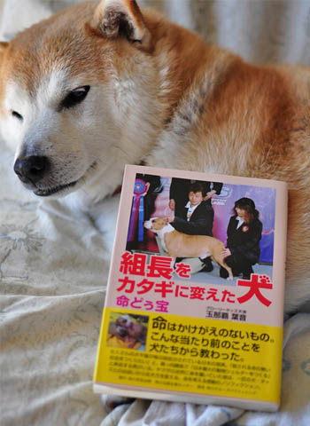10日ブログ5.jpg
