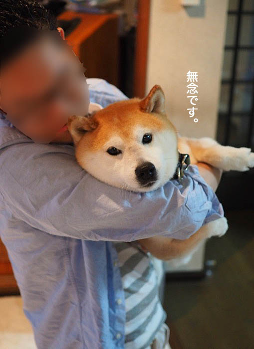16日ブログ５