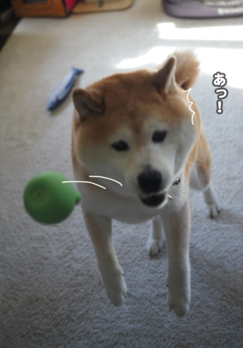 24日ブログ８
