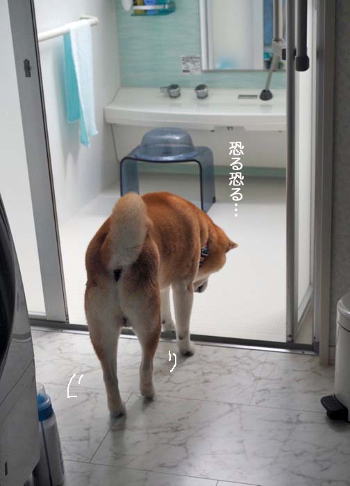 30日ブログ２
