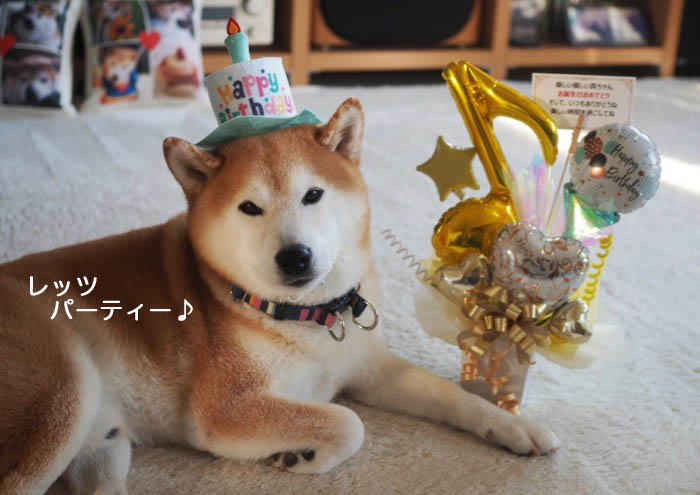 24日ブログ６