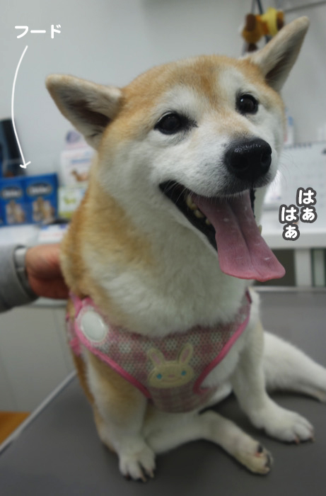 1日夜ブログ４