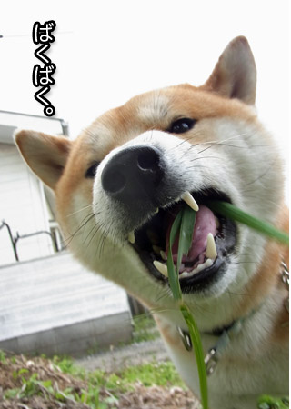 30日ブログ7.jpg