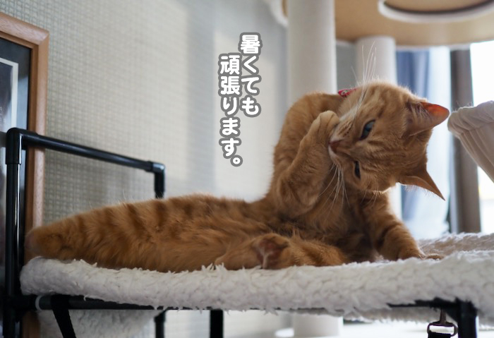 25日夕ブログ８