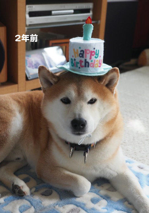 23日夕ブログ８