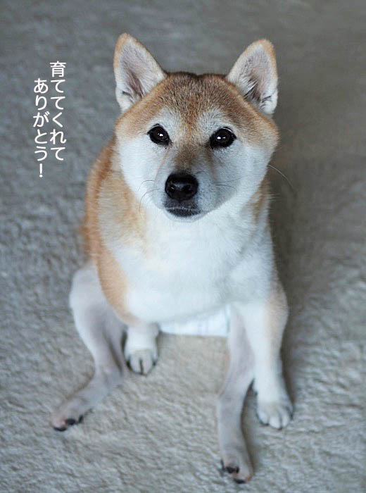 19日ブログ６