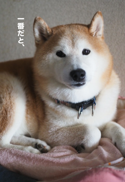 14日夕ブログ５