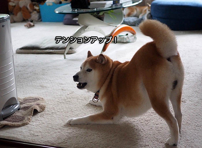 20日夜ブログ３