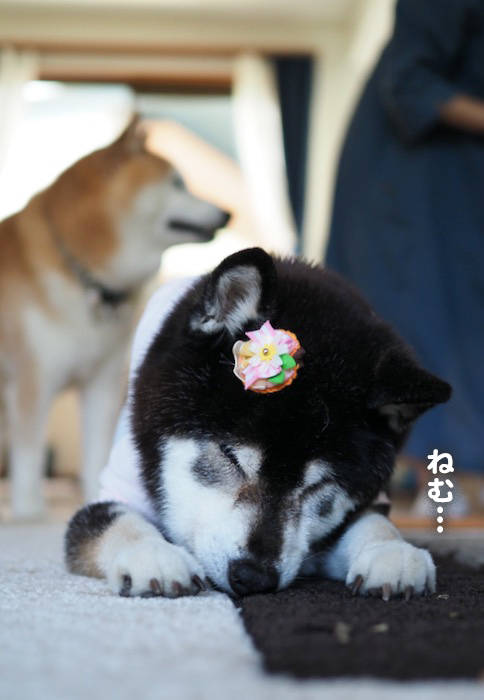 24日夕ブログ８