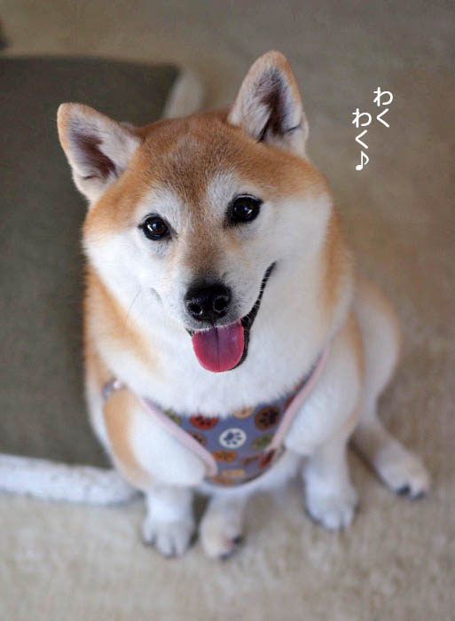 28日ブログ１