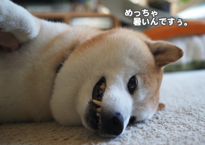 26日ブログ５