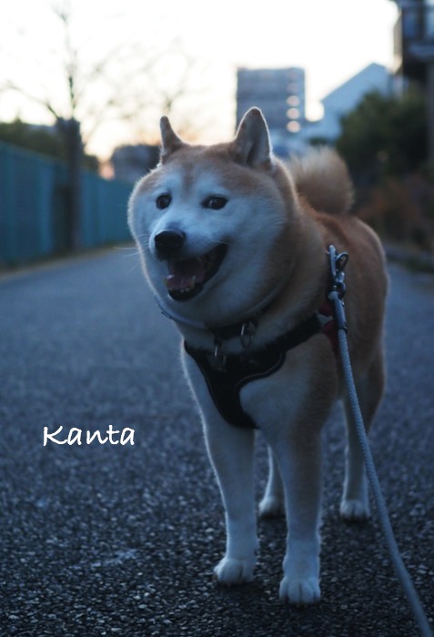 31日ブログ３