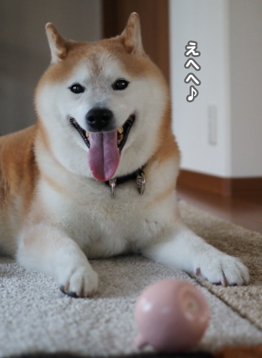14日夕ブログ７