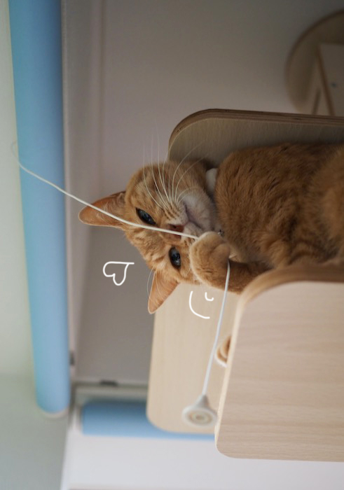 1日夕ブログ８