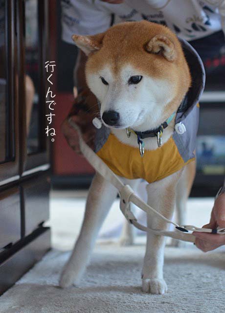 28日ブログ6