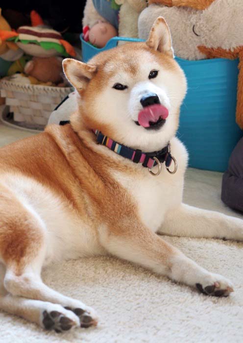 8日夜ブログ６