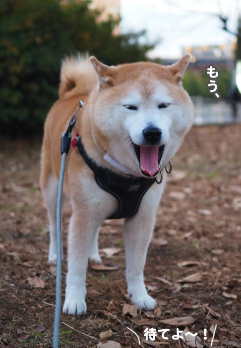 9日ブログ３