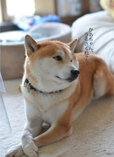 23日ブログ3.jpg