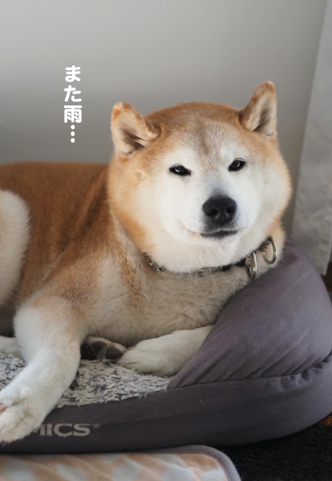 2日ブログ３