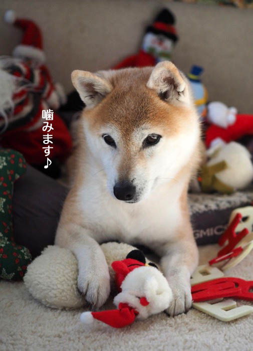 24日夜ブログ２