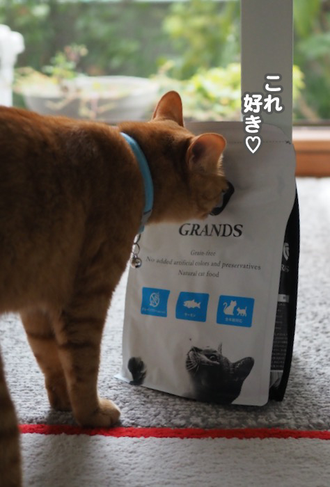 16日夕ブログ９