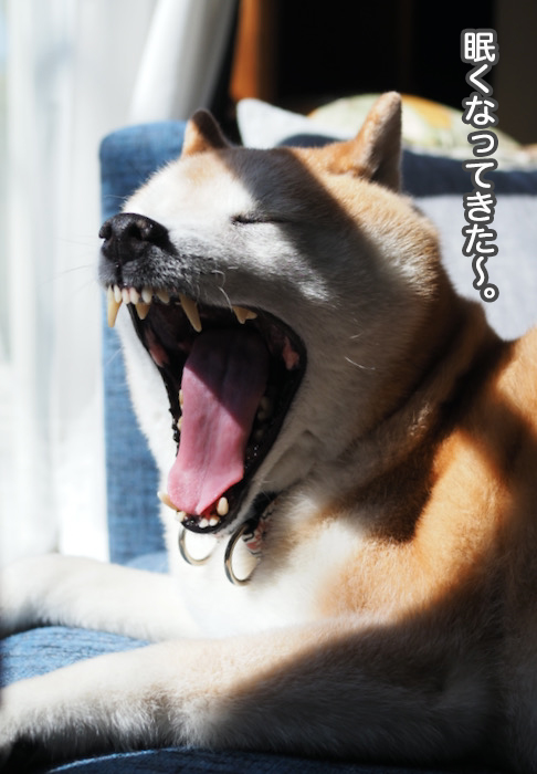 14日午前ブログ３