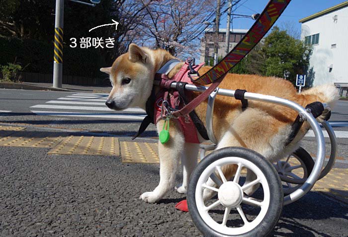 25日ブログ２