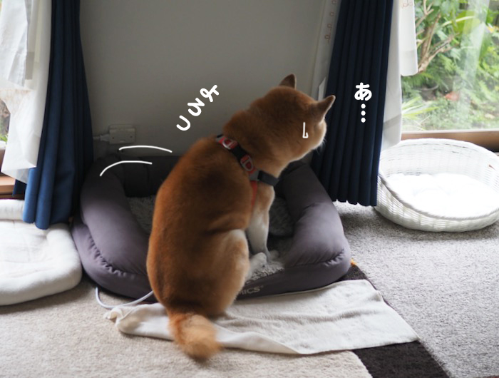 19日夕ブログ２