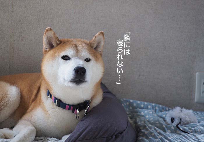 8日夜ブログ２