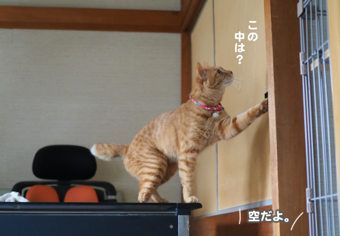 6日ブログ5