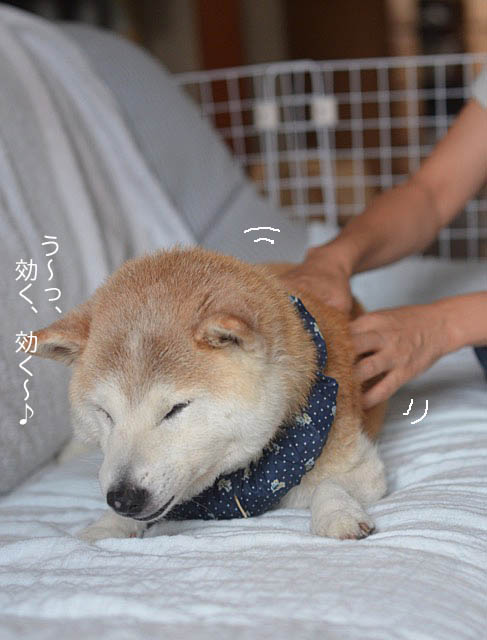 22日ブログ7
