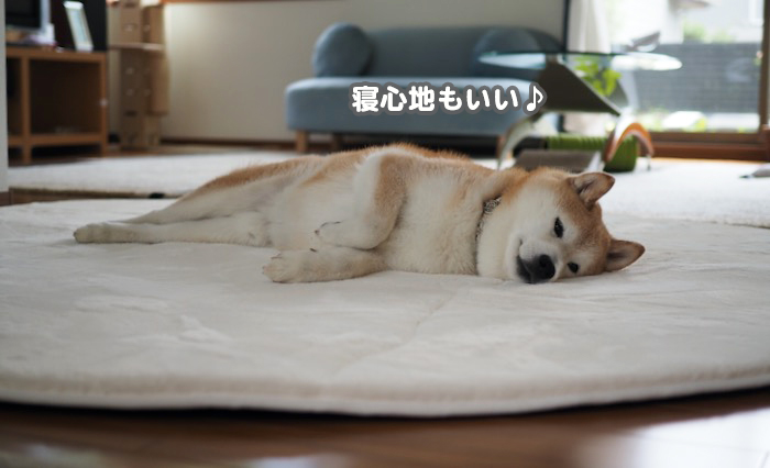 25日夕ブログ８