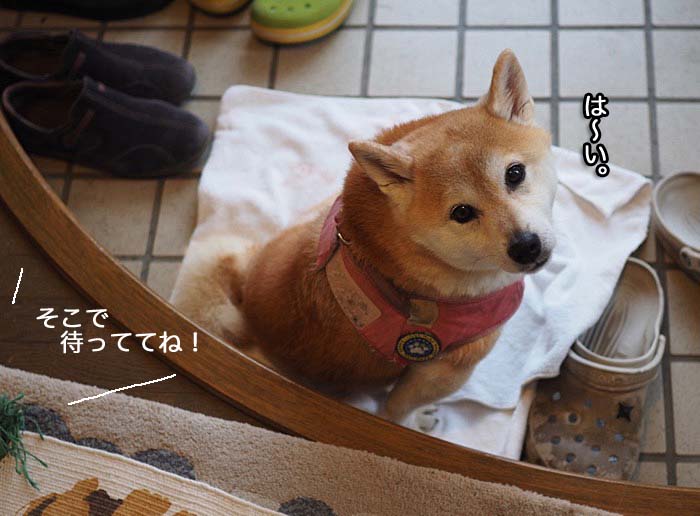 17日夜ブログ３