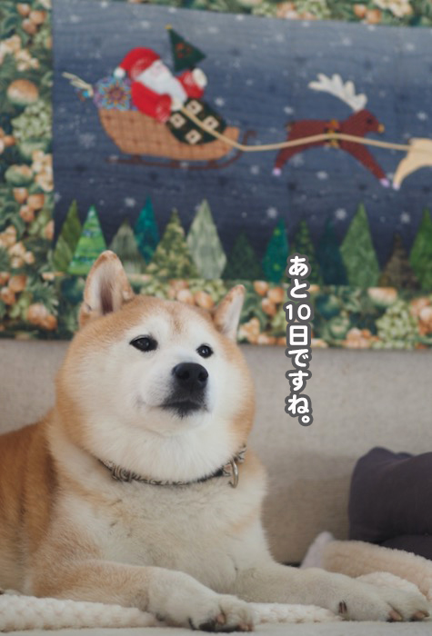15日夕ブログ３