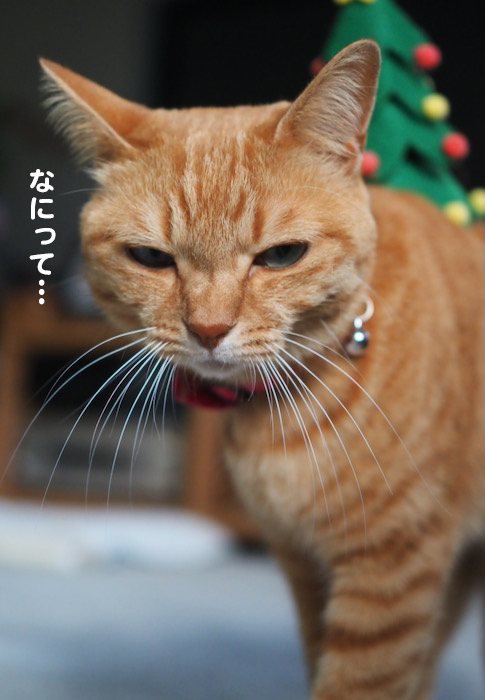 23日夕ブログ３