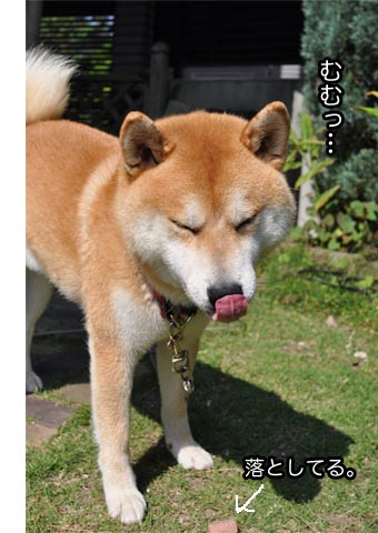 29日ブログ11.jpg