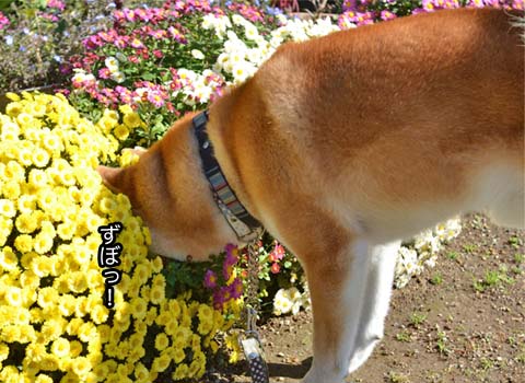 16日ブログ11.jpg
