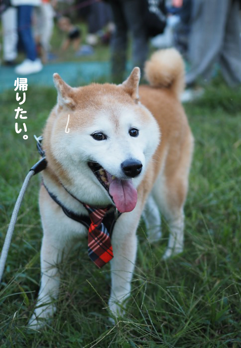 14日夜ブログ９
