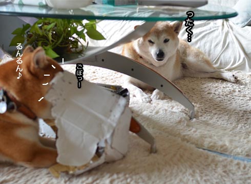 25日ブログ11.jpg