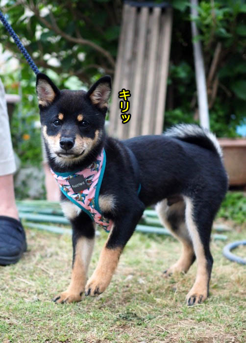 20日ブログ６