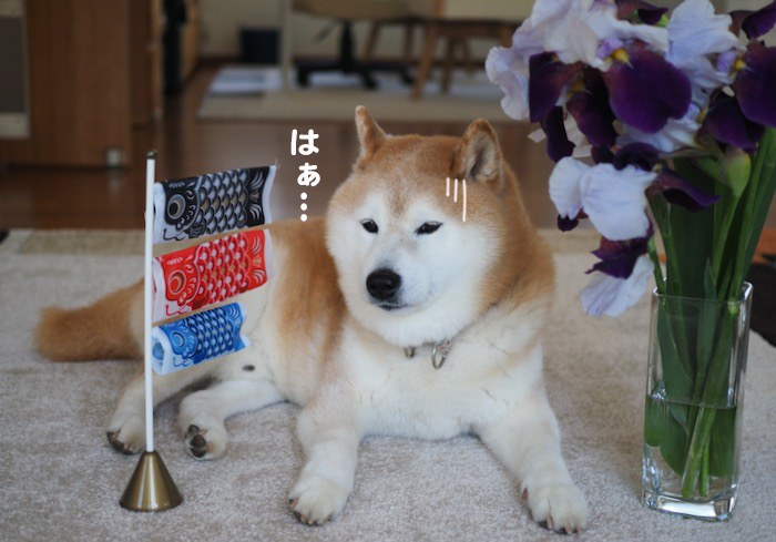 5日ブログ６