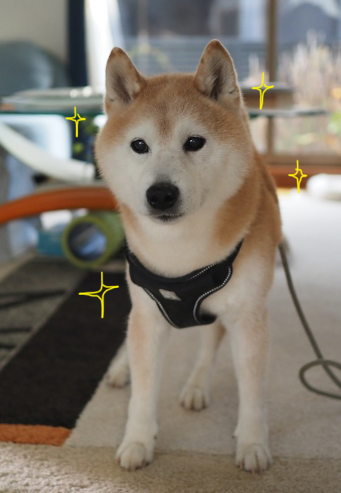 23日夕ブログ６