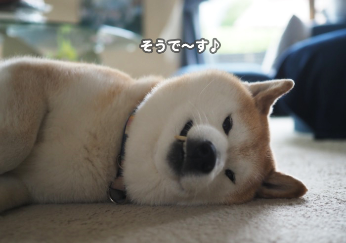 3日ブログ５