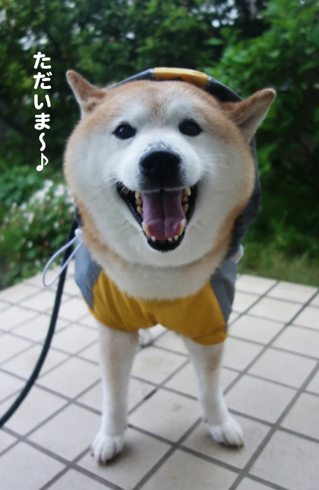 10日午後ブログ７