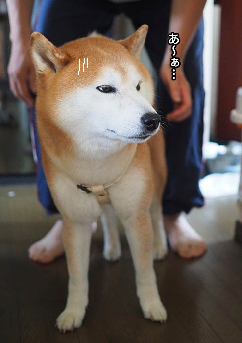3日午後ブログ４