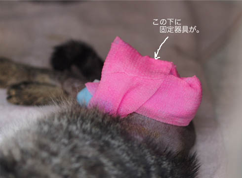 25日ブログ6.jpg