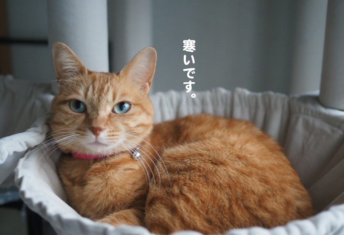 8日ブログ６