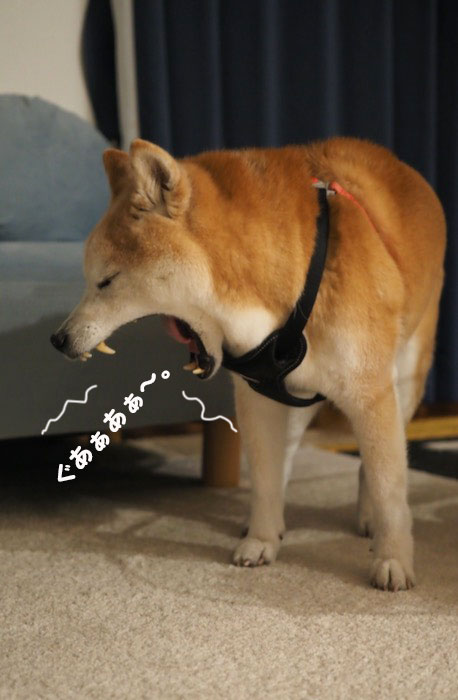 7日ブログ3