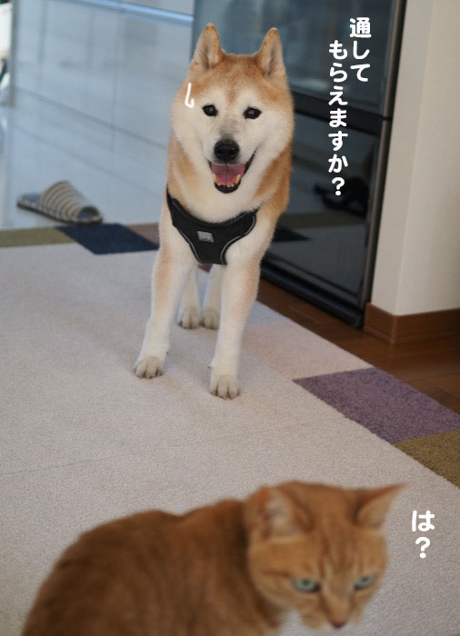 29日ブログ２